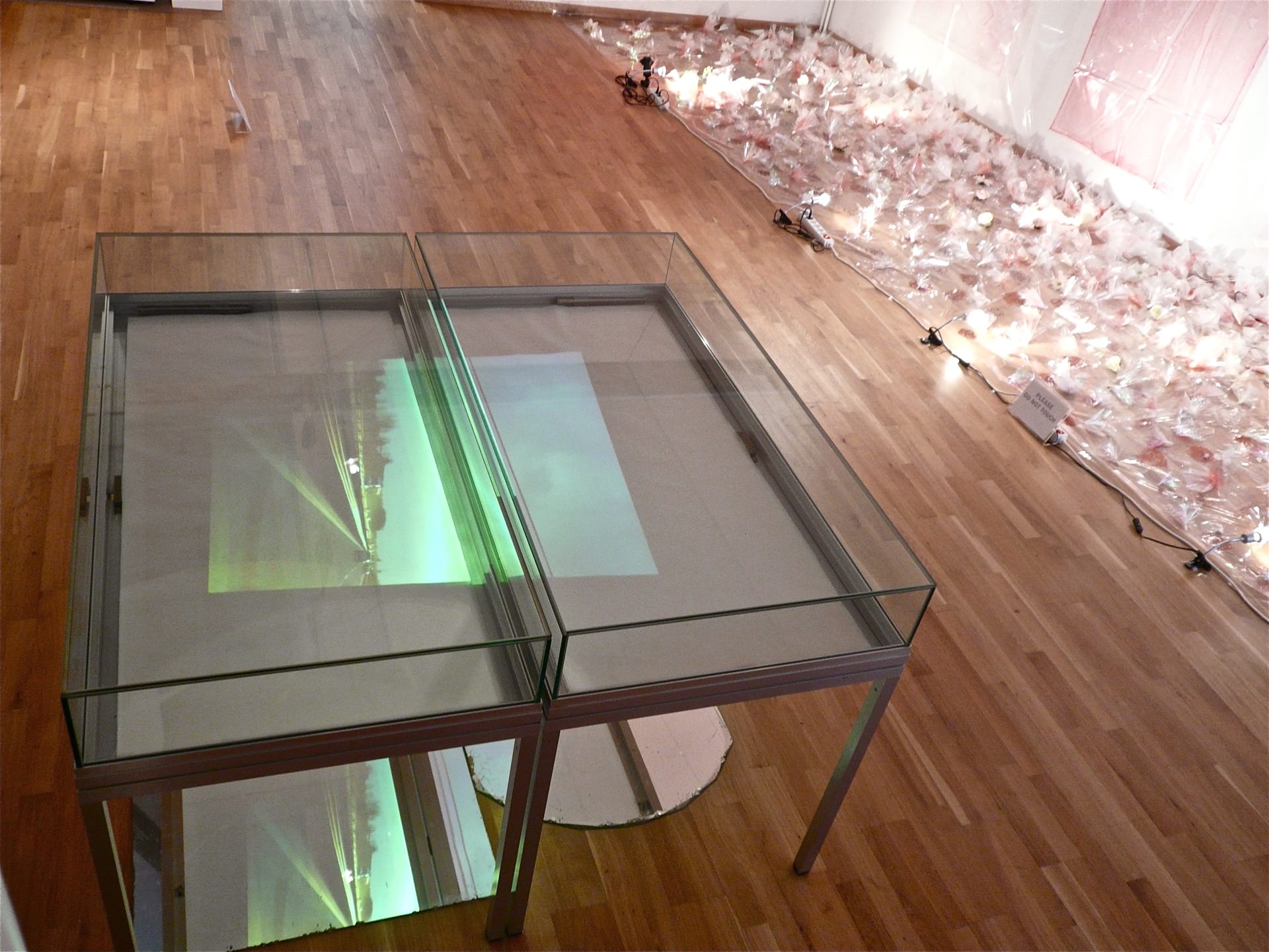 Carmen Hoyos — Virevoltante