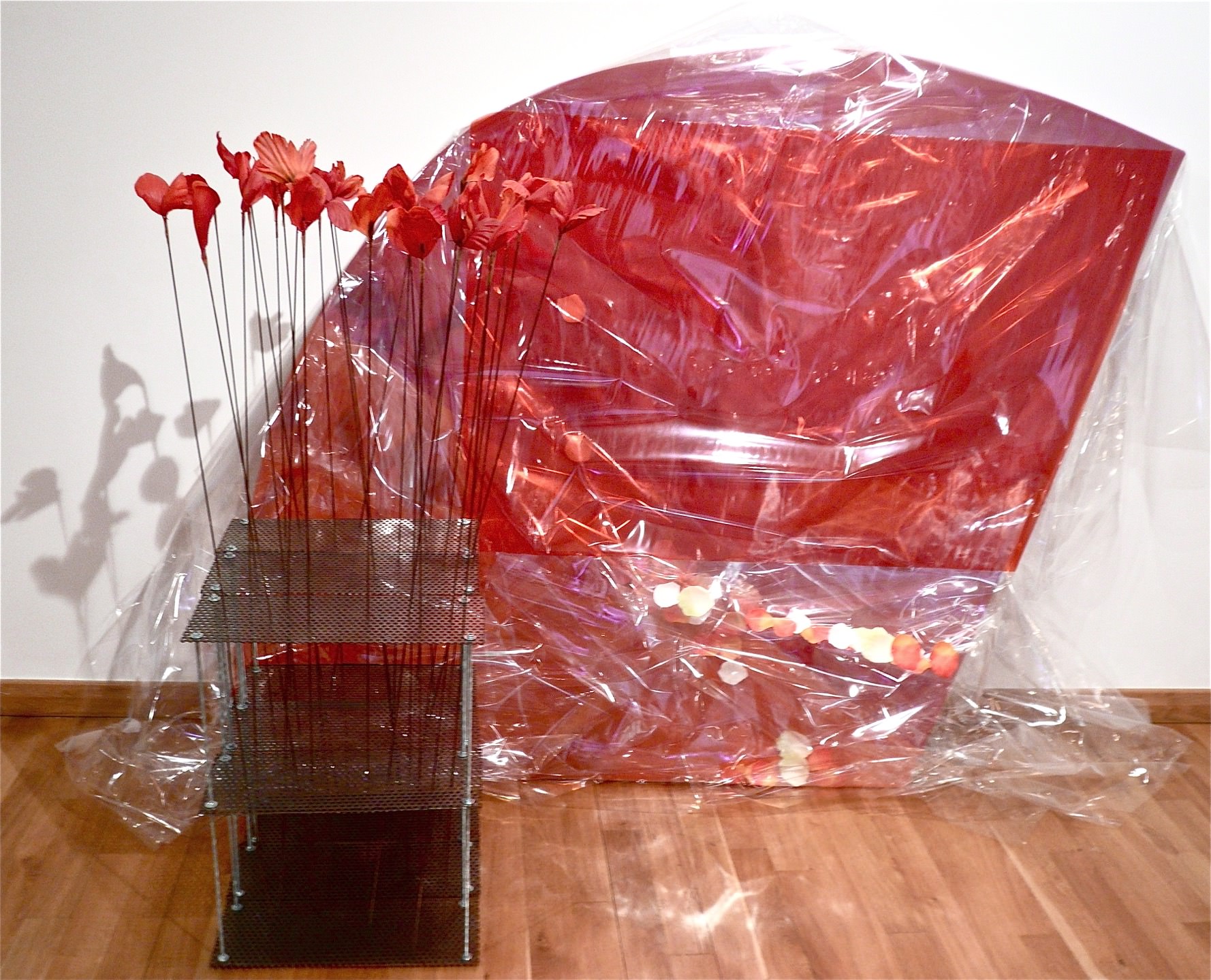 Carmen Hoyos — Virevoltante