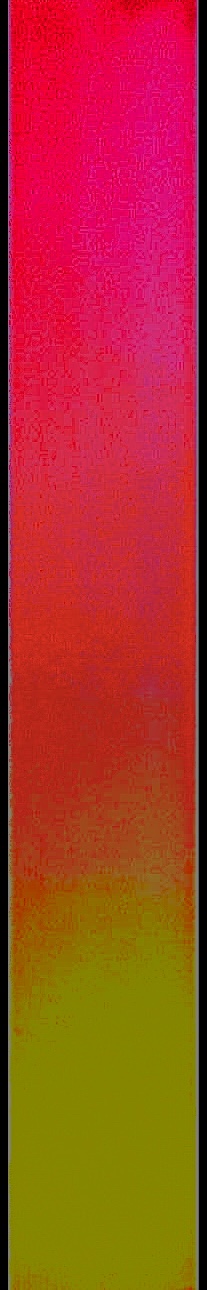 Carmen Hoyos — Récent