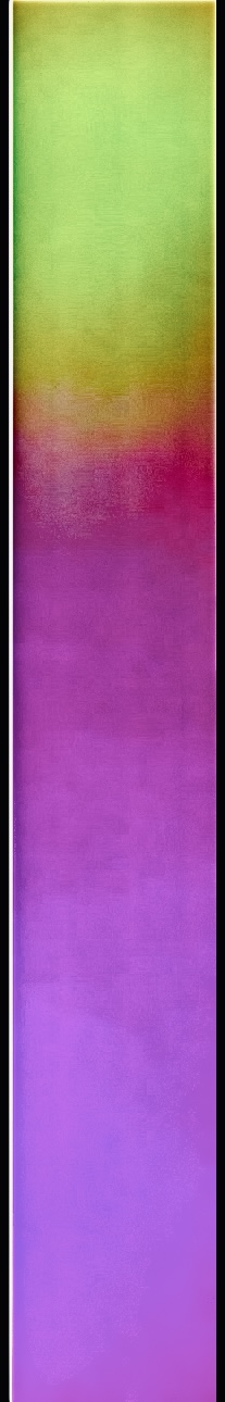 Carmen Hoyos — Récent