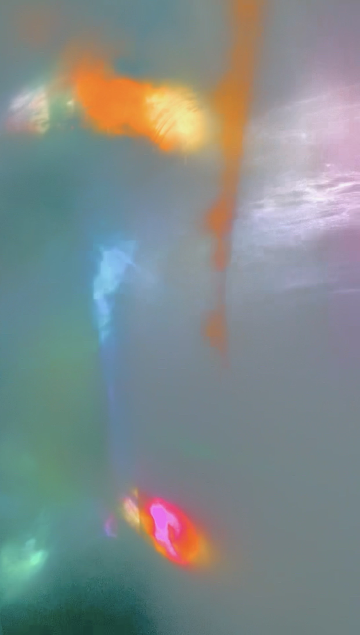 Carmen Hoyos — Récent