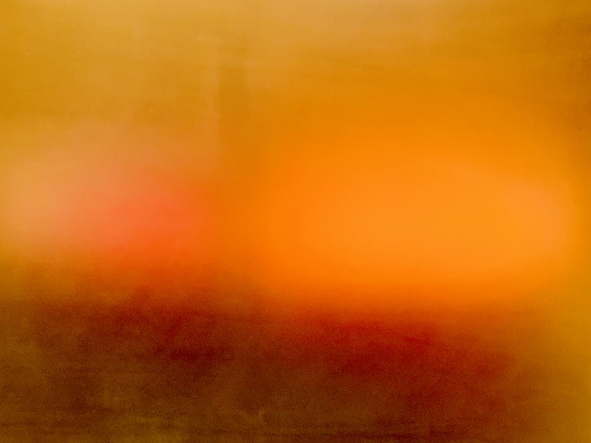 Carmen Hoyos — Récent